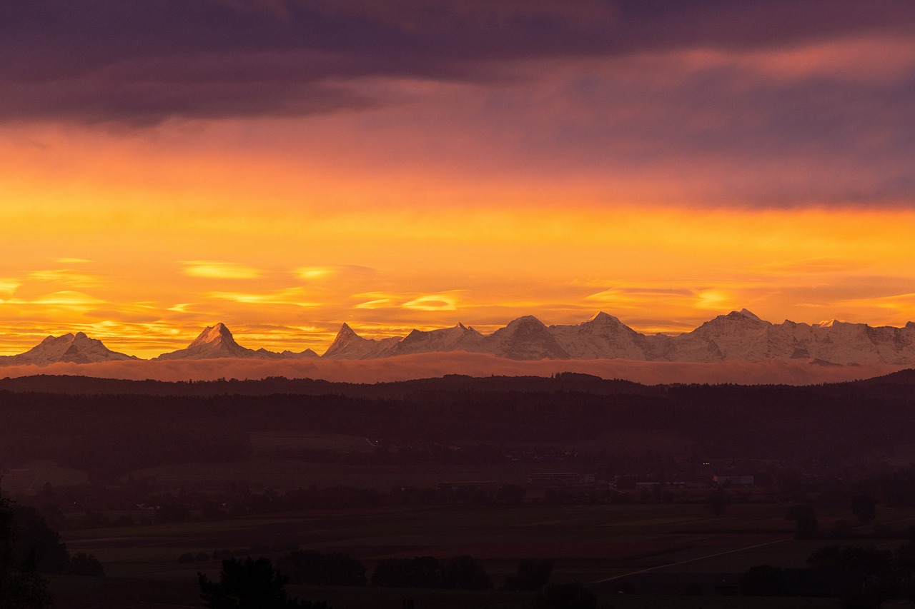 斯图加特赛莎娃复出豪取两连胜 强势晋级八强